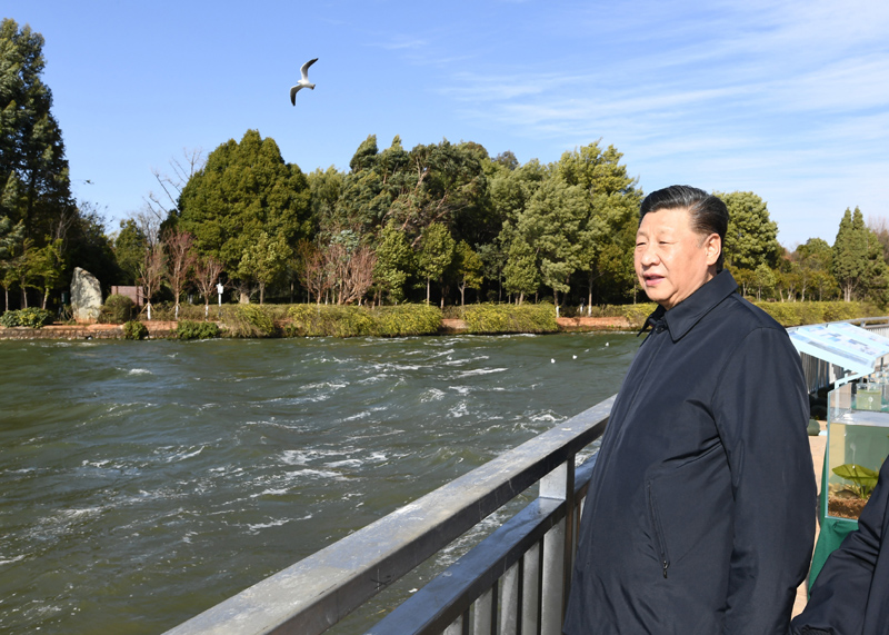 2020年1月20日下午，習(xí)近平總書記在云南昆明滇池星海半島生態(tài)濕地考察調(diào)研。